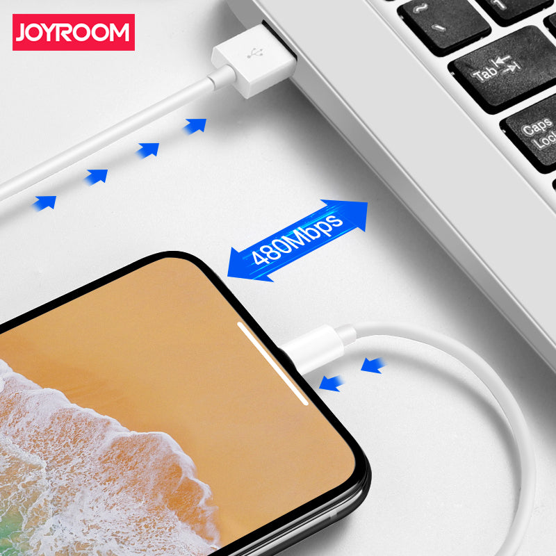 Joyroom Ben Series Lightning Data Cable JR-S113 25cm - White