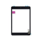 ipadmini2